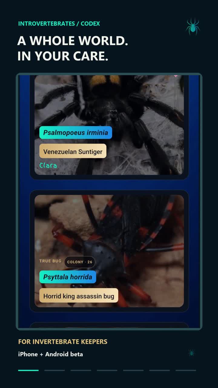 Codex trailer showing animal profiles for Clara and Psyttala horrida, with an invitation to the iPhone and Android beta