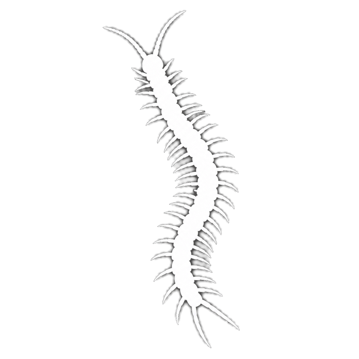 White centipede silhouette used as a category placeholder
