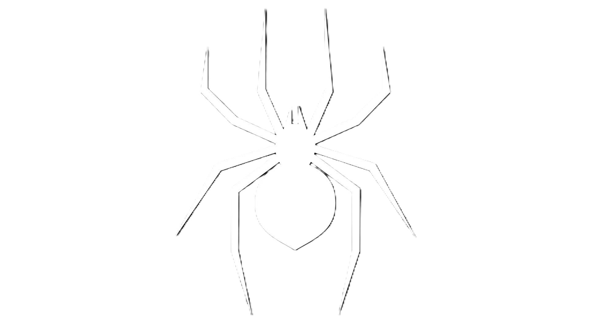 White generic spider silhouette used as a category placeholder